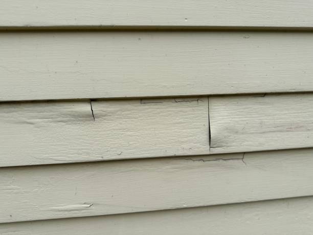 Best Historical Building Siding Restoration  in East Valley, NV